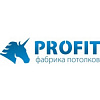 Логотип компании Profit